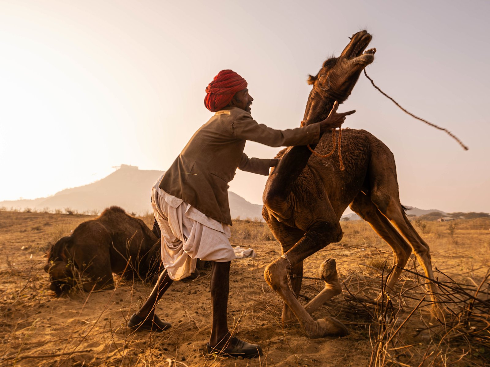 India Travel 1